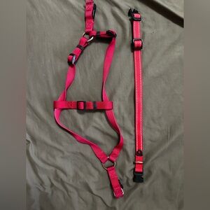 Red Adjustable Dog Harness & Collar